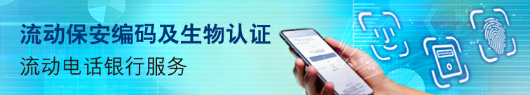 流动保安编码及生物认证