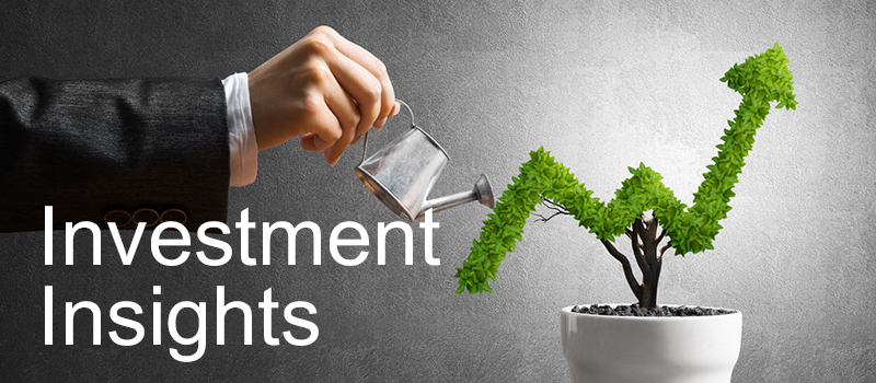 Investment Insights