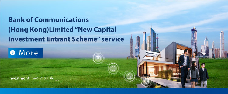"New Capital Investment Entrant Scheme" service